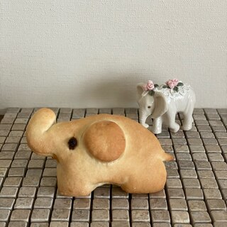 子供と作ろう！ゾウさんパン